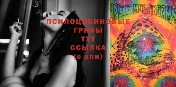 мдпв Горняк