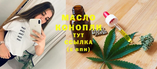 дживик Горнозаводск