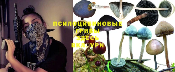мдпв Горняк